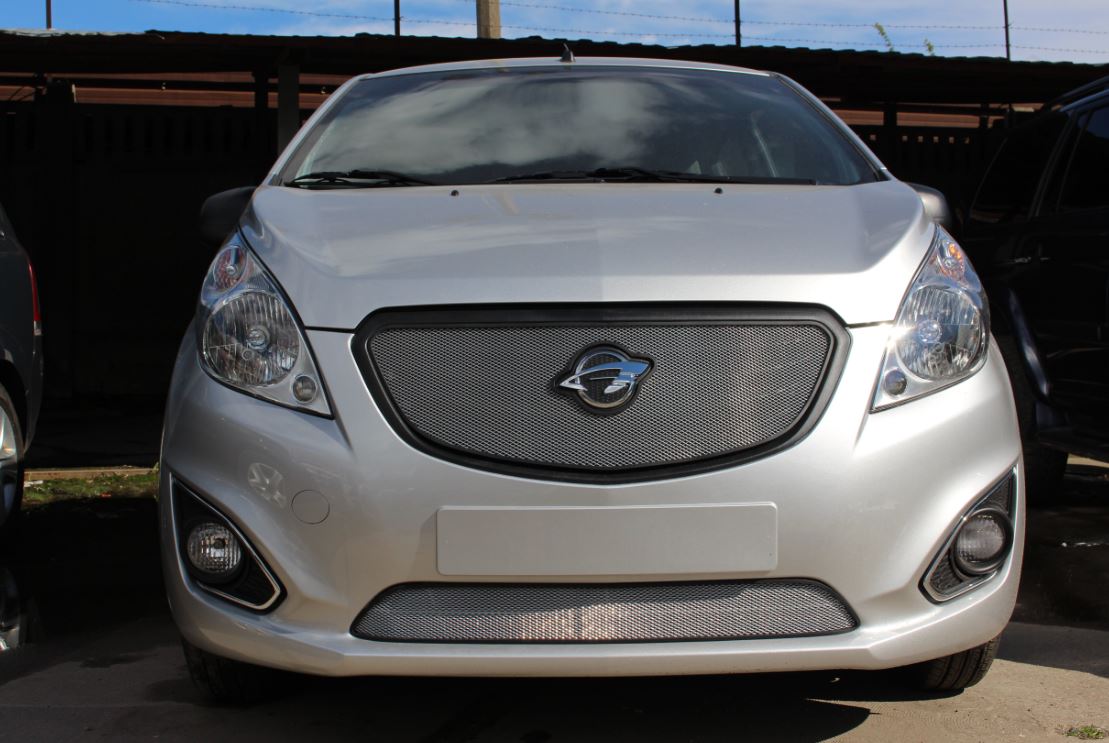 Защитная сетка радиатора низ для Ravon R2